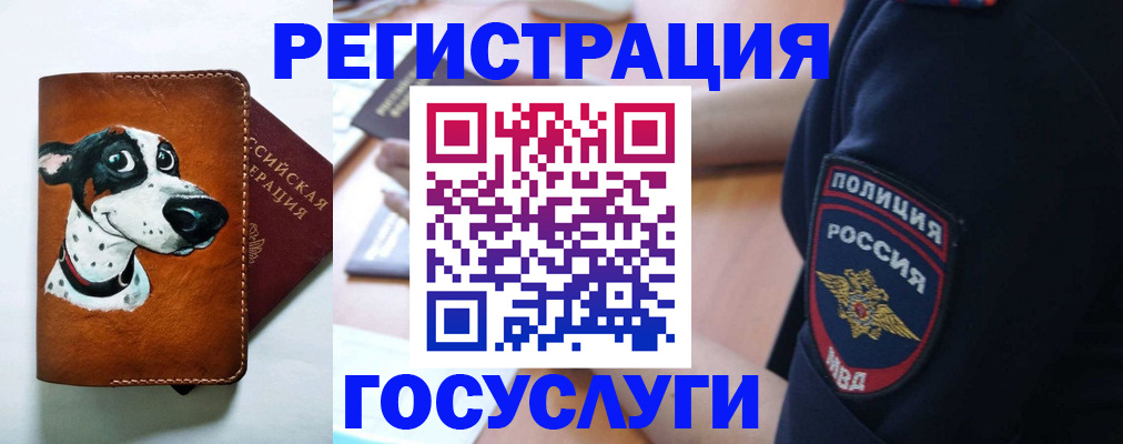 временная регистрация в квартире в Бодайбо